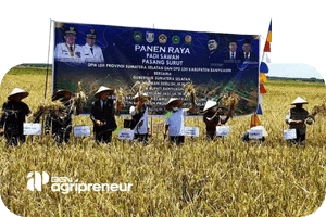 agripreneur CSR-min agripreneur CSR min