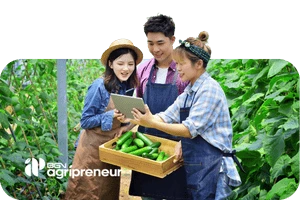 pelatihan petani pelatihan petani